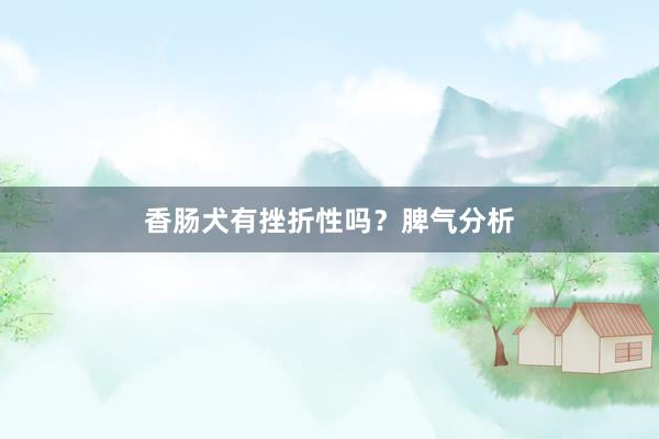 香肠犬有挫折性吗？脾气分析