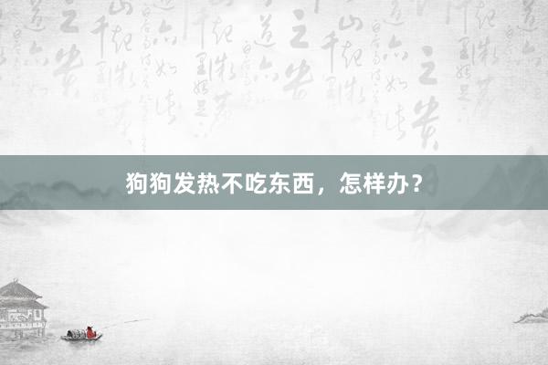 狗狗发热不吃东西，怎样办？